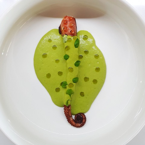 polpo grigliato con gazpacho verde ricetta
