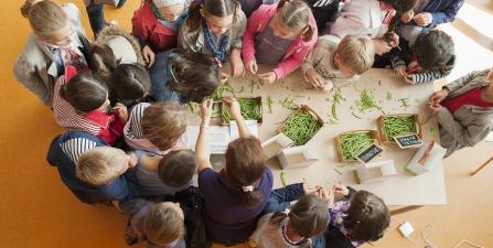 bimbi educazione alimentare laboratori bimbi educazione alimentare laboratori