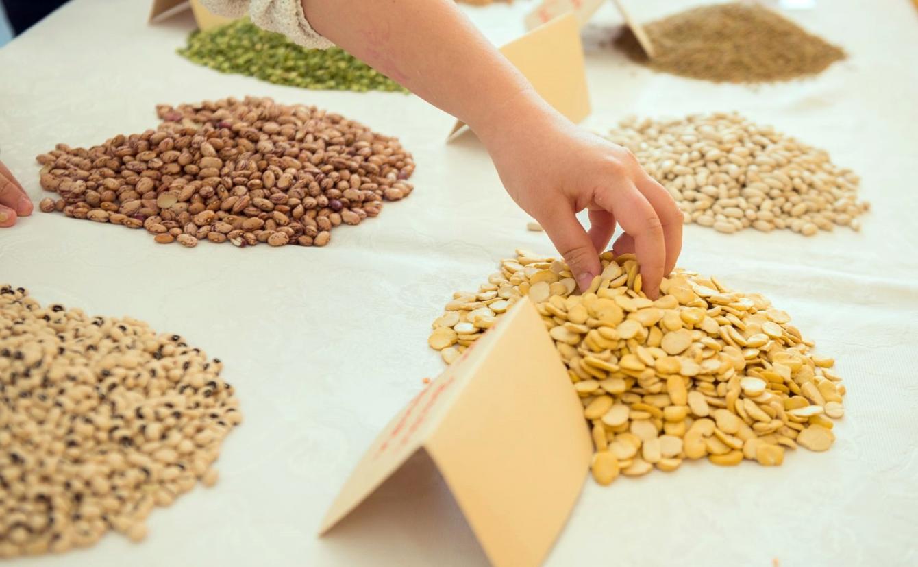 Ricette Con Legumi Per Bambini Elior it