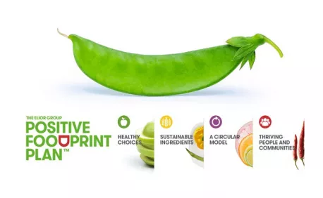 food print plan food print plan