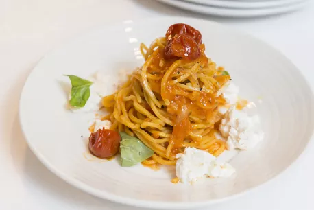 pasta, pomodoro, basilico pasta, pomodoro, basilico